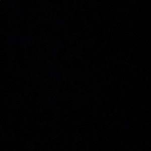 Meet your Posher, Demetrius